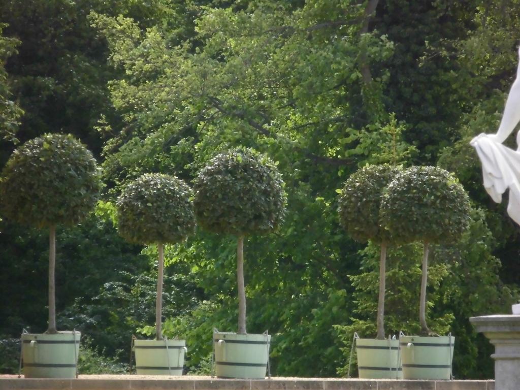 Schlossparkferienwohnungen Rheinsberg Mit Garten Extérieur photo