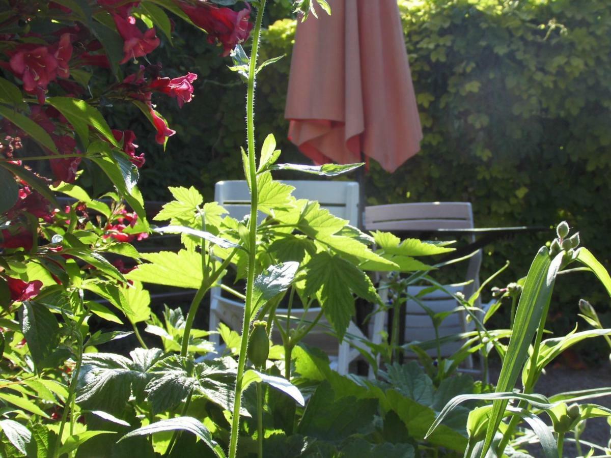 Schlossparkferienwohnungen Rheinsberg Mit Garten Extérieur photo